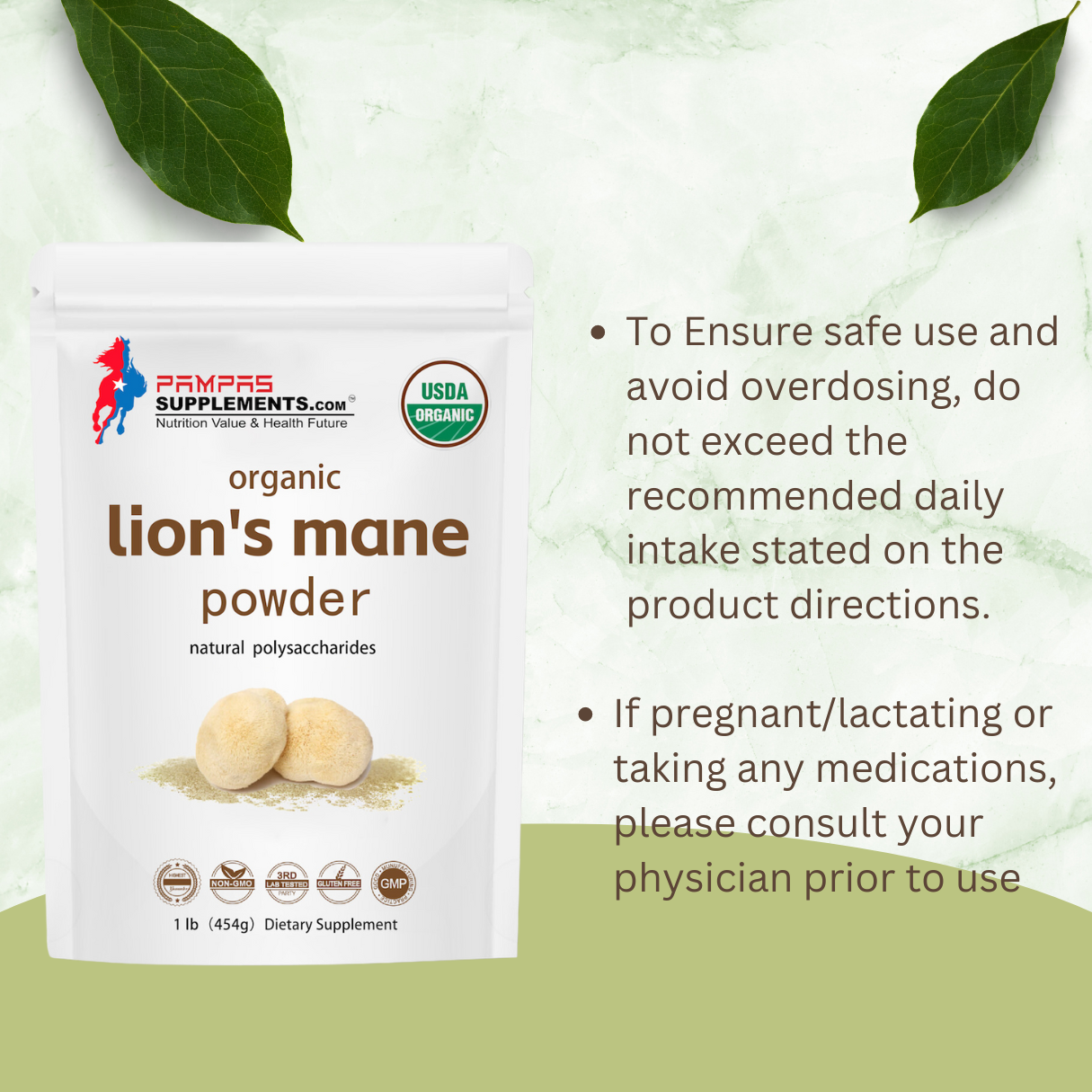 Pampas Supplements Lions Mane Mushroom Supplement Powder 1lb