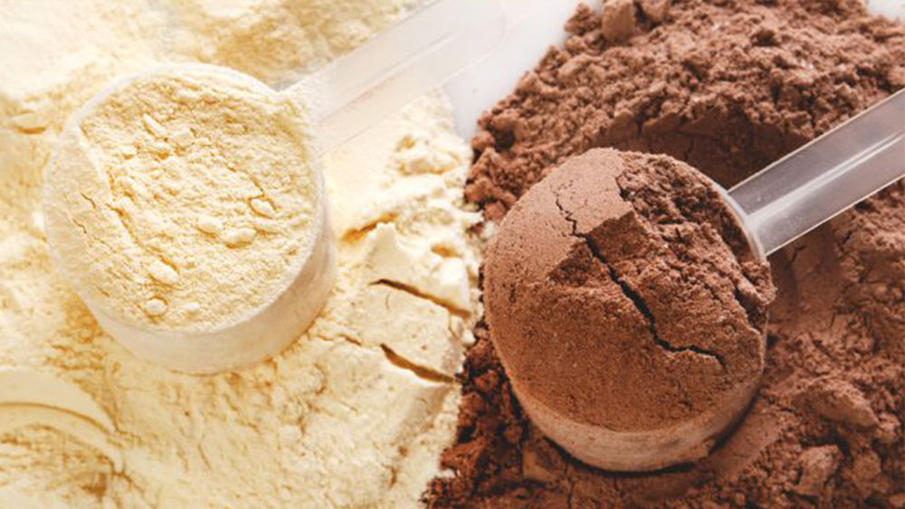 Protein Powder