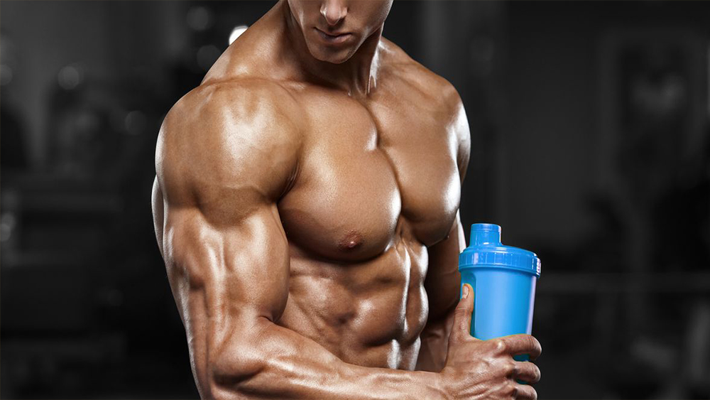 Amino Acids & Muscle Building